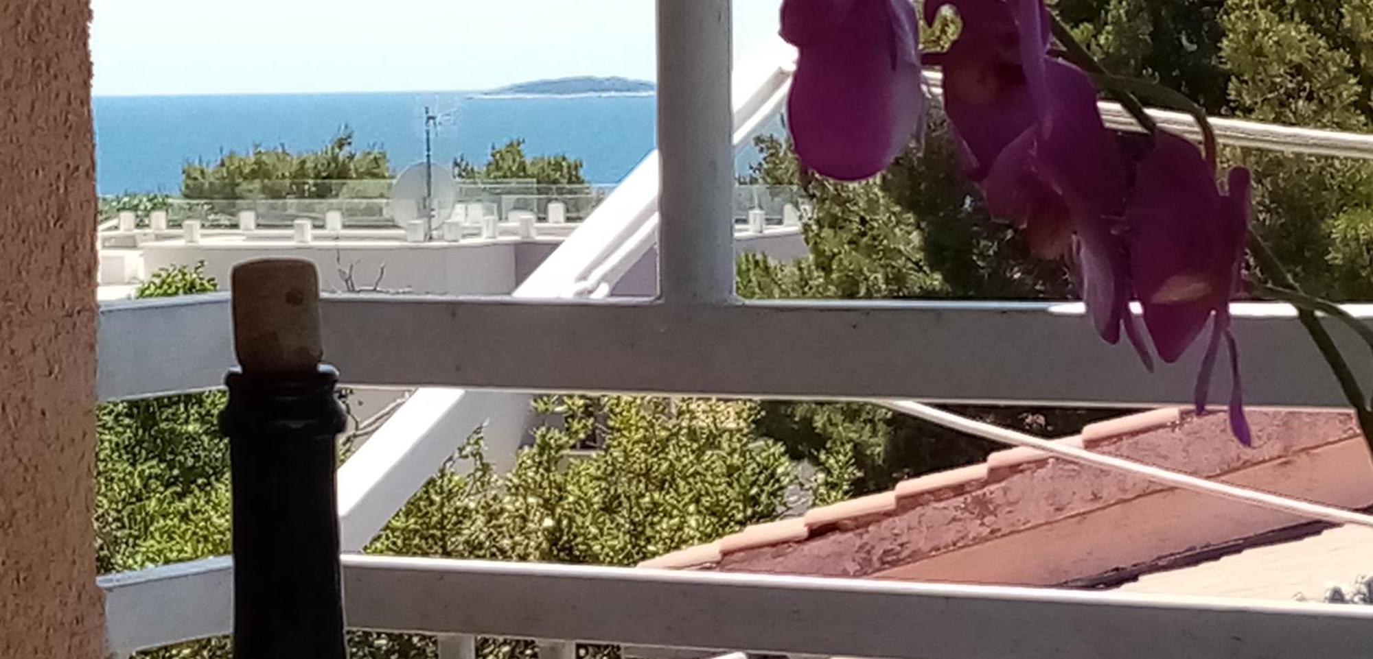 Apartments Bilo Near Primošten Chambre photo