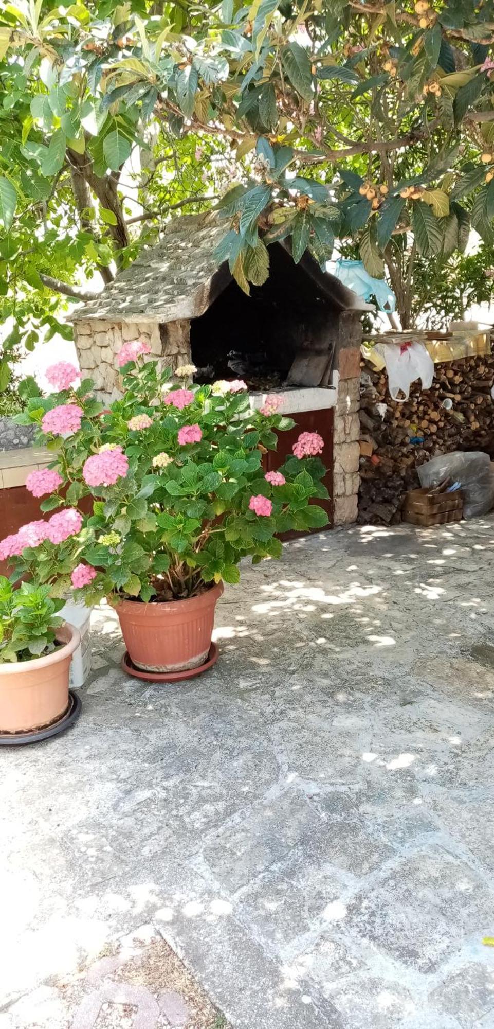 Apartments Bilo Near Primošten Chambre photo
